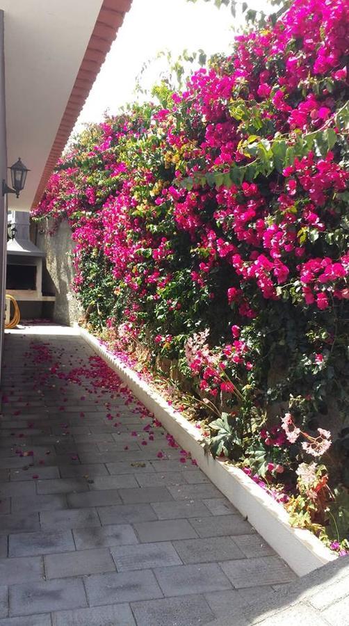 Paraiso Das Flores Estreito Da Calheta エクステリア 写真