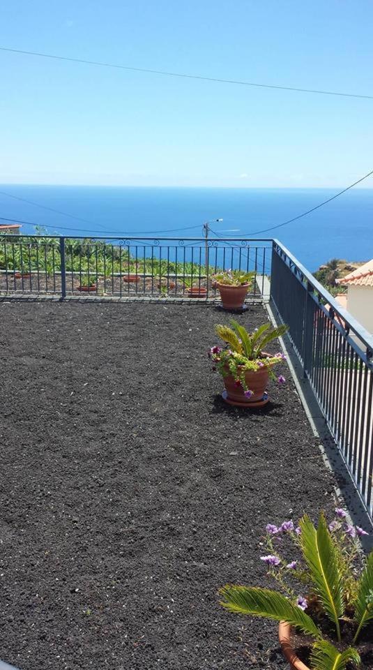 Paraiso Das Flores Estreito Da Calheta エクステリア 写真