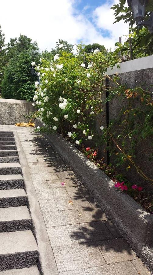 Paraiso Das Flores Estreito Da Calheta エクステリア 写真